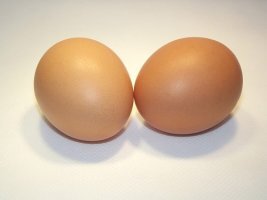 아연 많은 음식