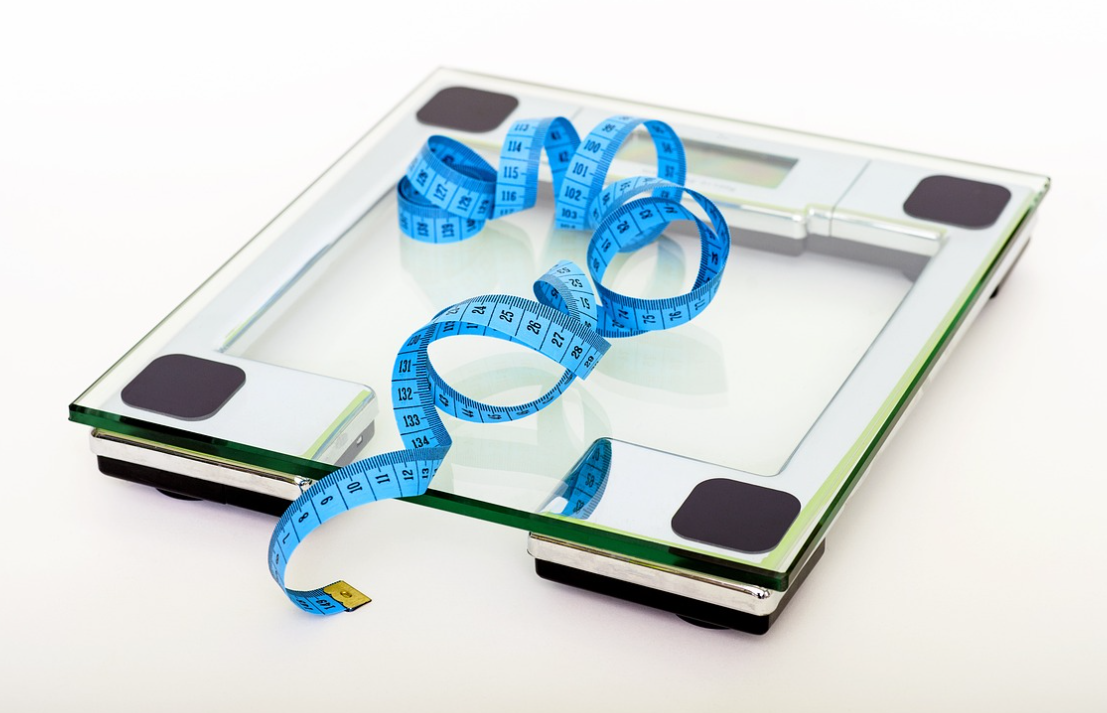 체중관리 식재료_오이, 셀러리, 시금치