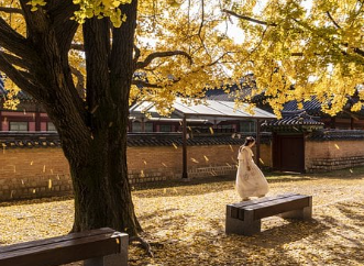 한국드라마인기비결