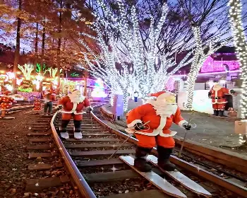청도 프로방스 빛축제_12