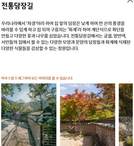 수선화 축제