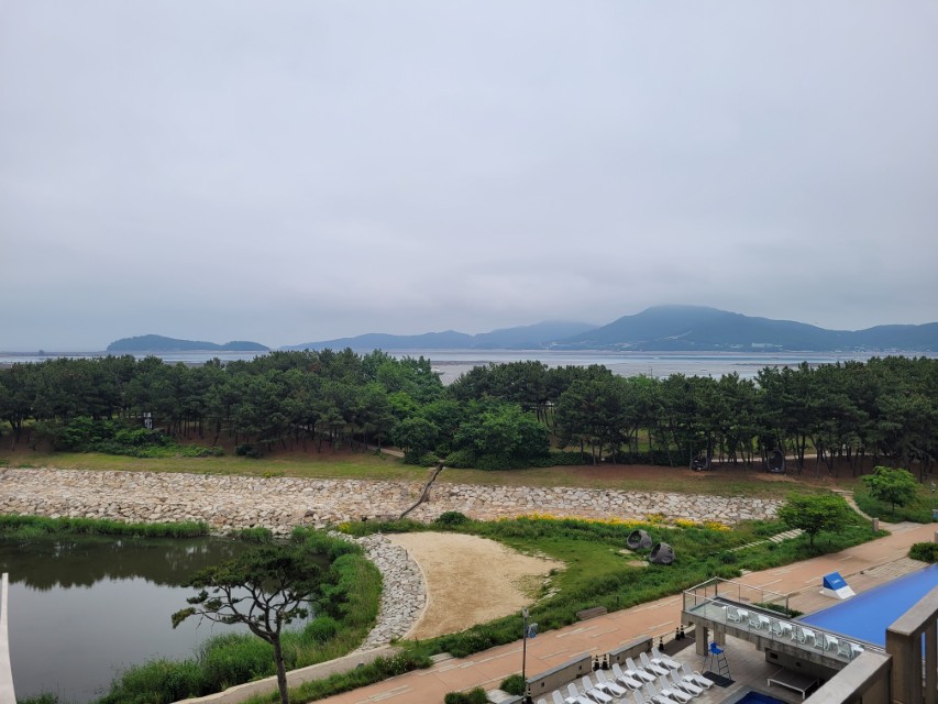 객실에서 내려다본 수영장과 자연 풍경