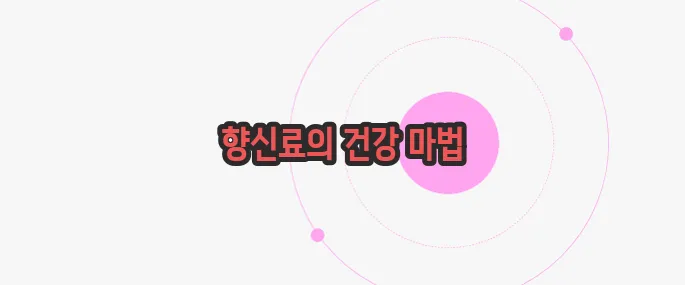 카레 효능 한 번 정리해볼까요