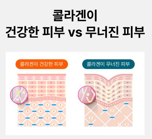 저분자-콜라겐-펩타이드-효과