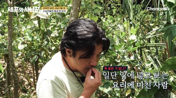 원래 요리사는 야생에서도 막 주워먹음? | 인스티즈