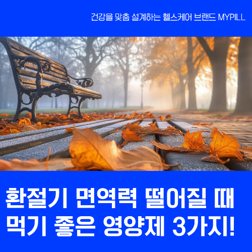환절기 영양제 추천