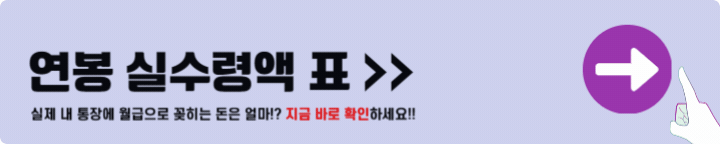 연봉 실수령액 표