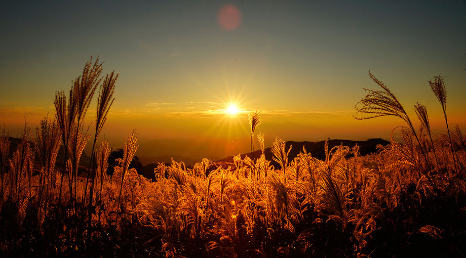 황매산 군립공원 소개 사진 이미지
