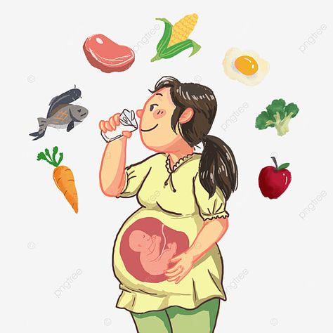 임산부 주수별 체중 증가 관련사진