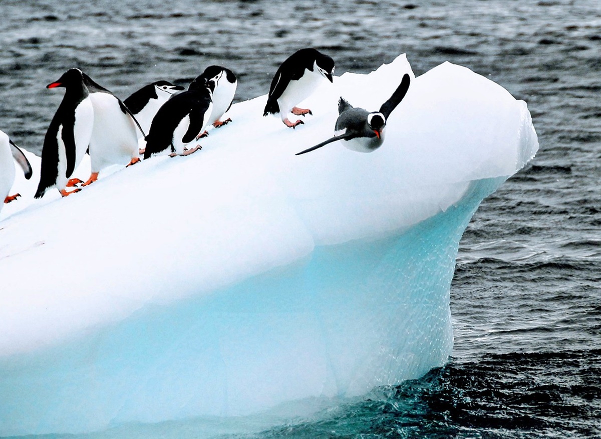 빙하가 녹으면 해수면만 오르는 게 아니다!