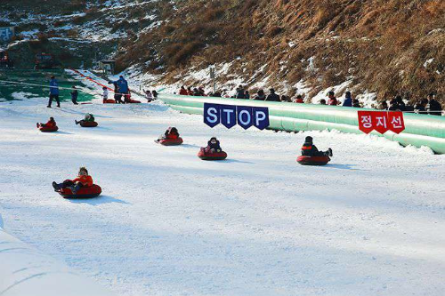 대전 겨울 여행 명소, 한밭수목원·엑스포·오월드·장태산자연휴양림