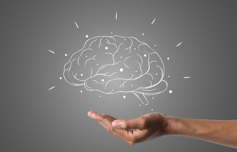 뇌는 어떻게 우리 감정을 만들어낼까? — 감정의 과학