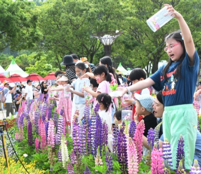 함평나비축제 일정, 초대가수, 입장료 할인정보🦋