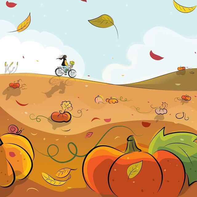 호박잎-꿈-해몽