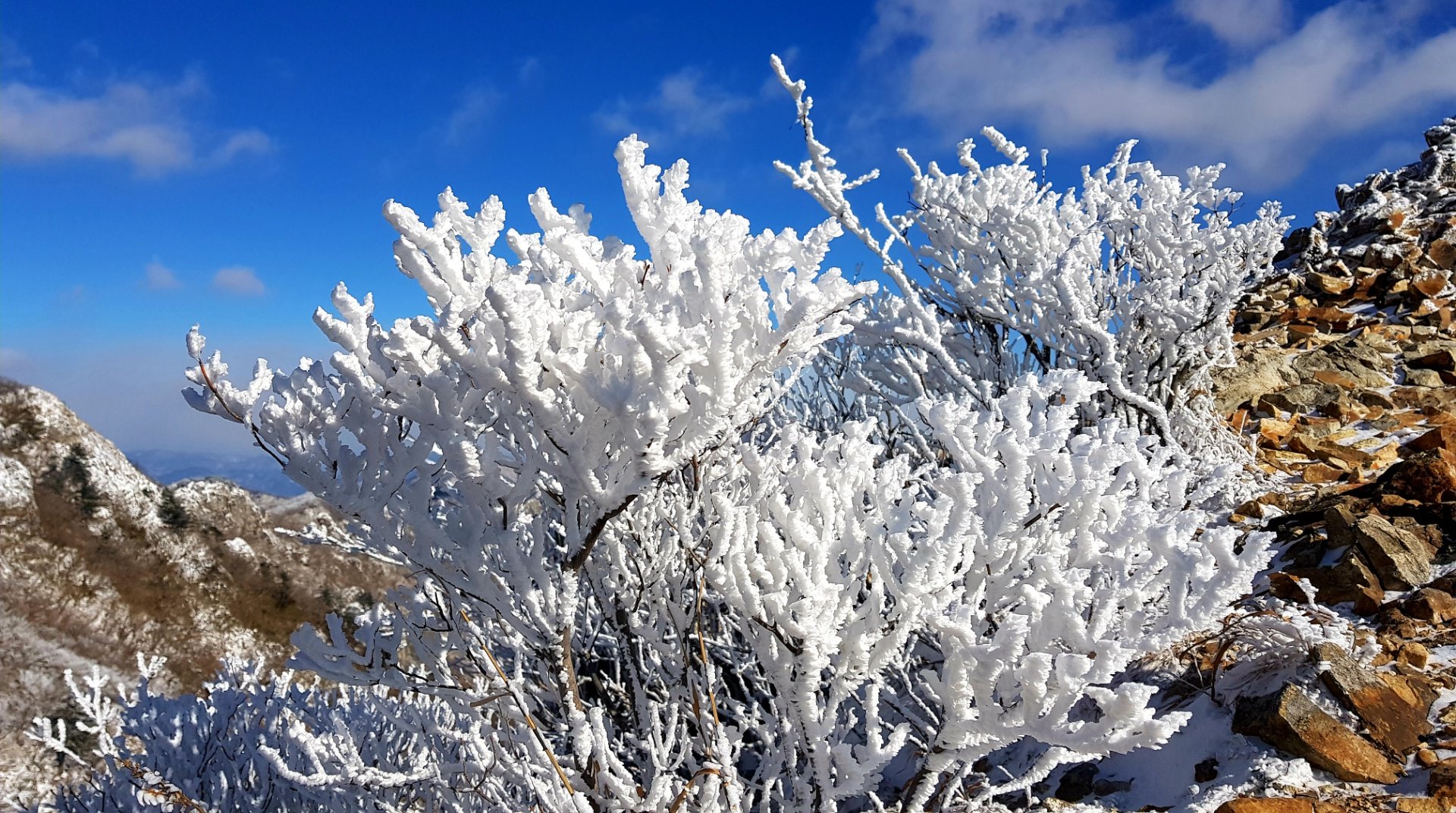 울산 가지산20 설경과 상고대