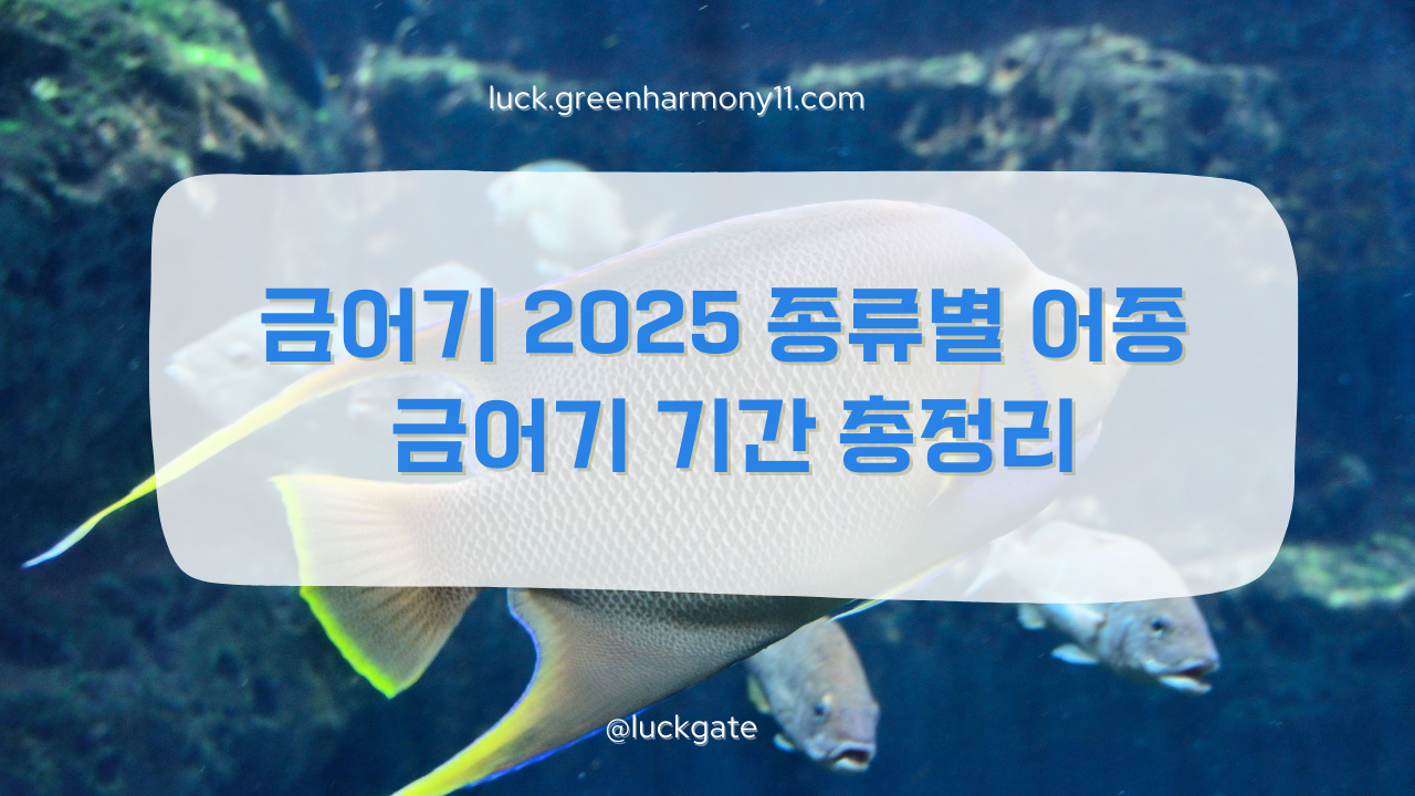 금어기 2025