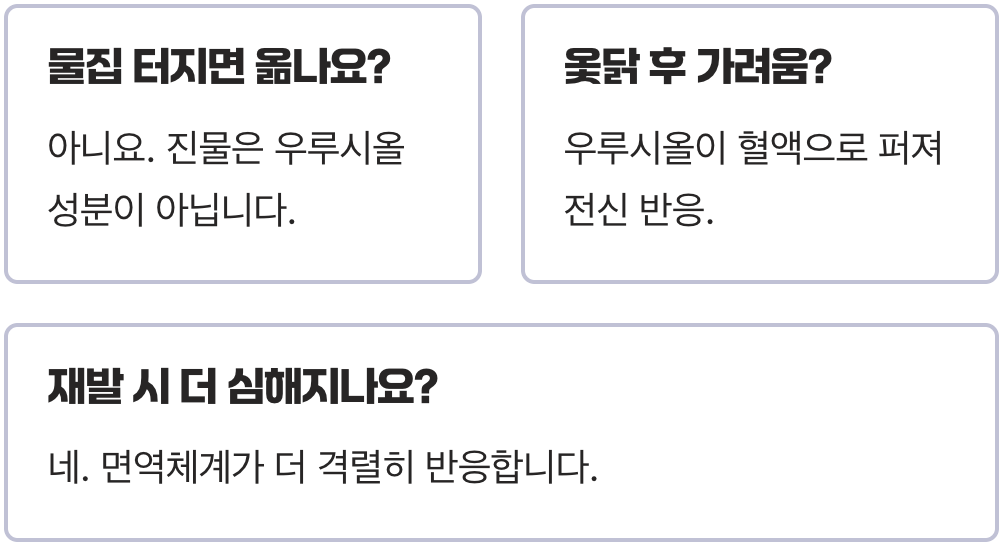 미치도록 가려운 옻알레르기, 10분 만에 가려움 잡는 응급처치와 절대 하면 안 되는 행동