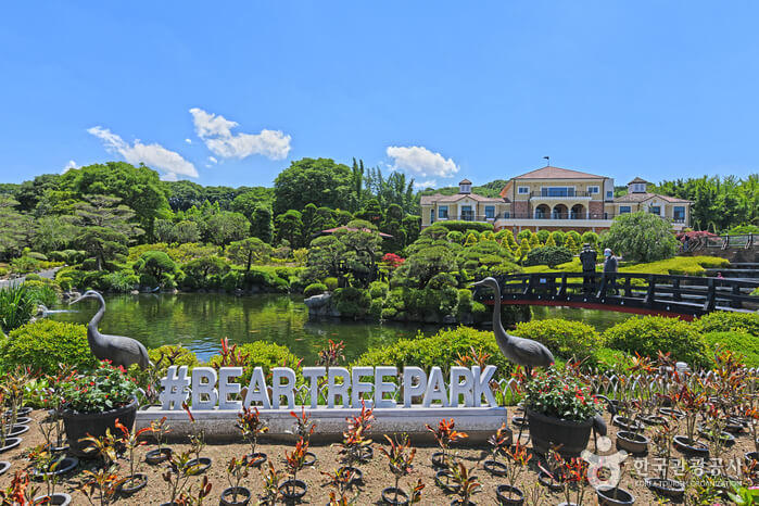 세종 베어트리파크 2025 봄꽃축제