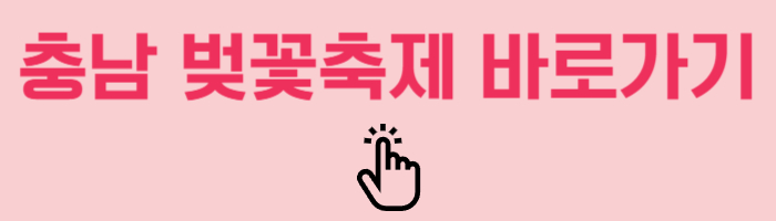 충남 벚꽃축제