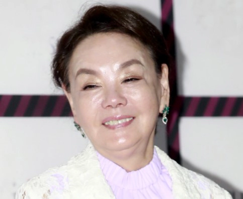 김수미 사망 이유 배경