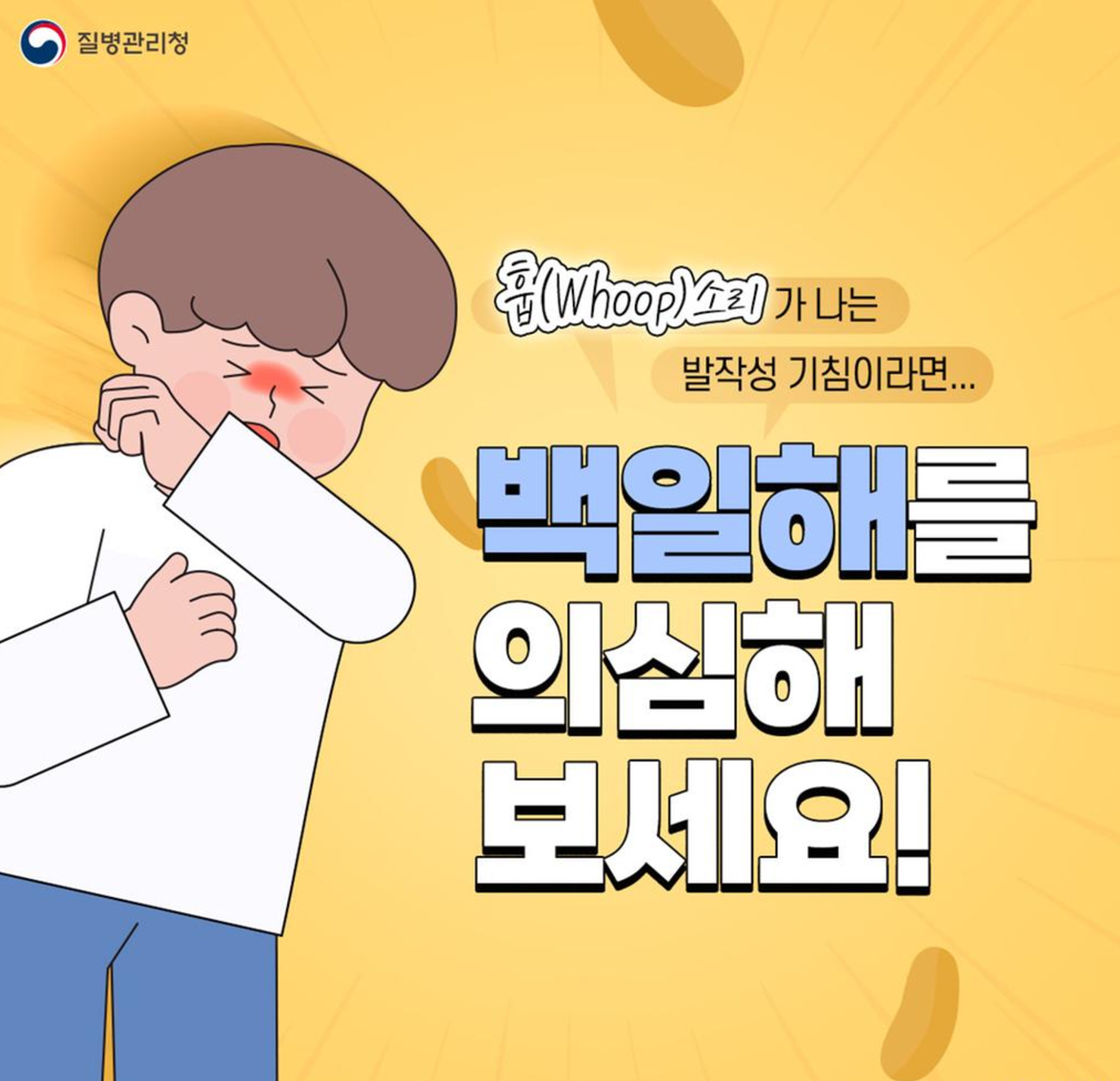 백일해 증상