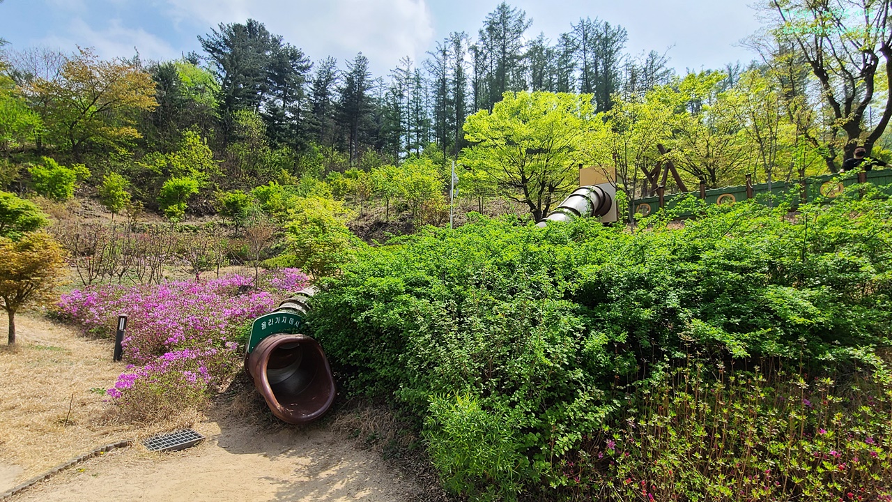 물맑음수목원-숲놀이터