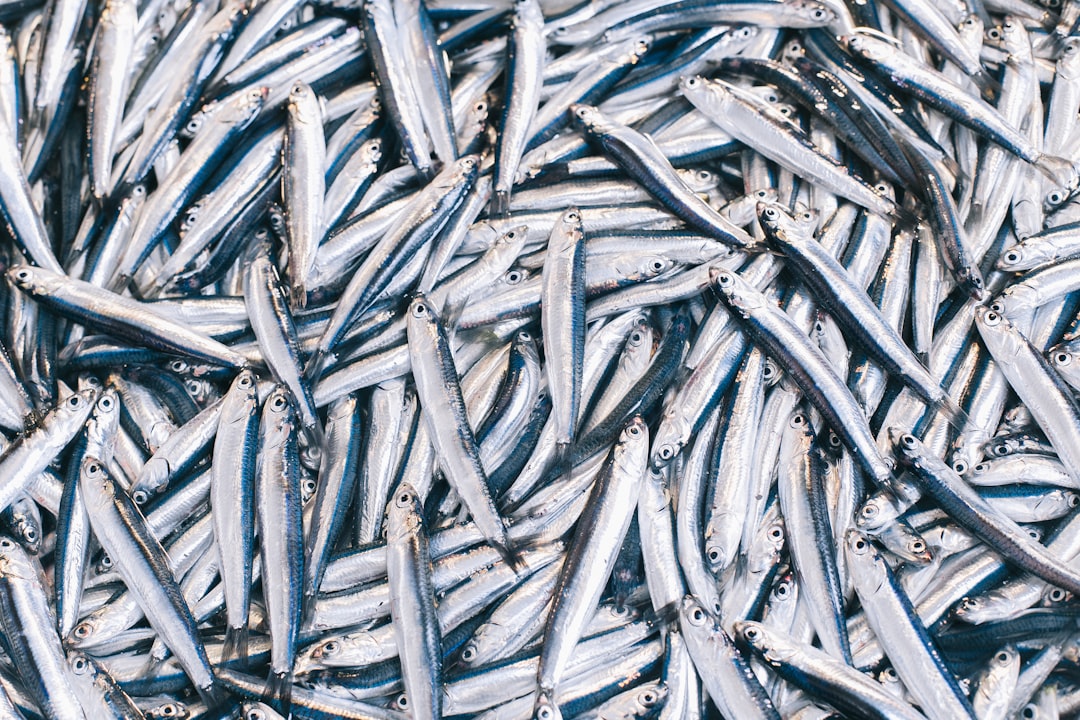 Fish market