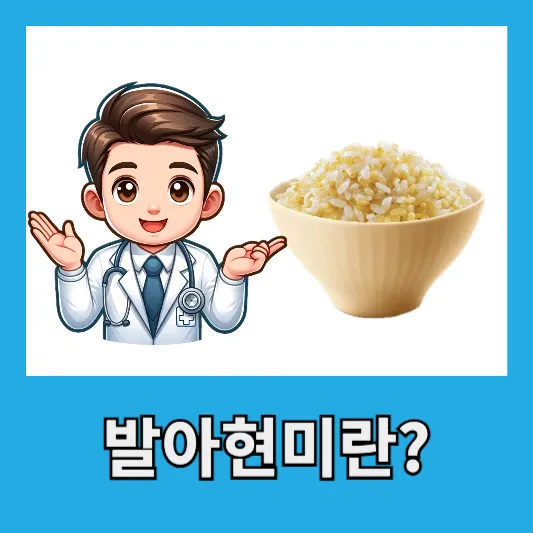 "봄철 발아현미밥"