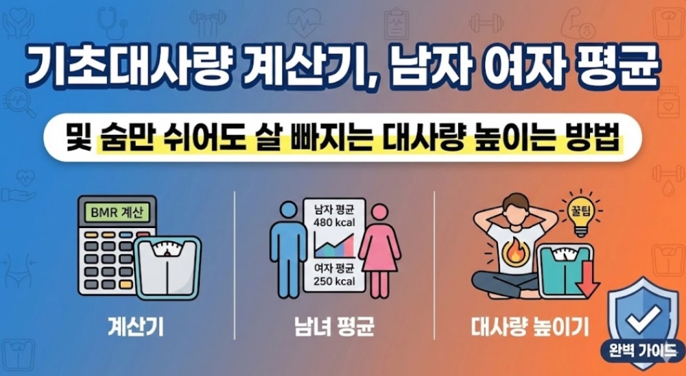 기초대사량-계산기