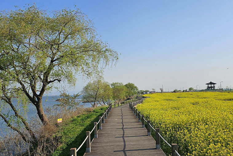 당진 삽교파크골프장 (삽교천파크골프장, 삽교호파크골프장)