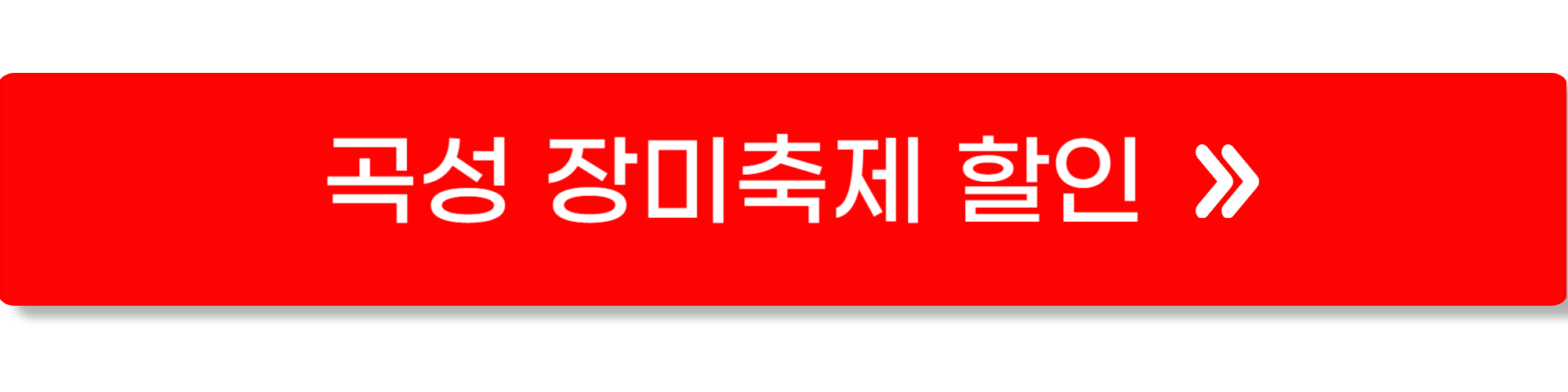 곡성 장미축제8