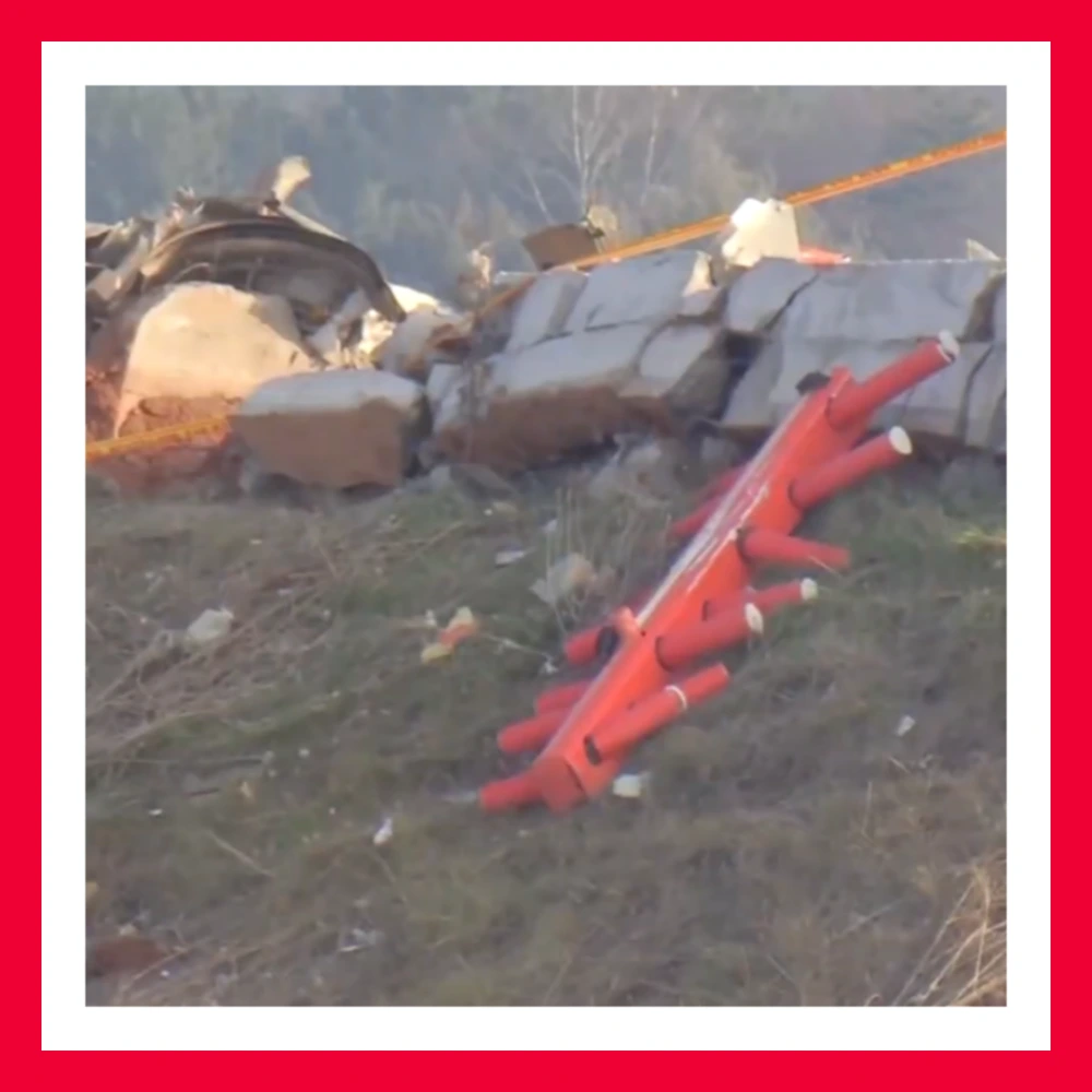 제주항공-엔진-깃털-조류충돌