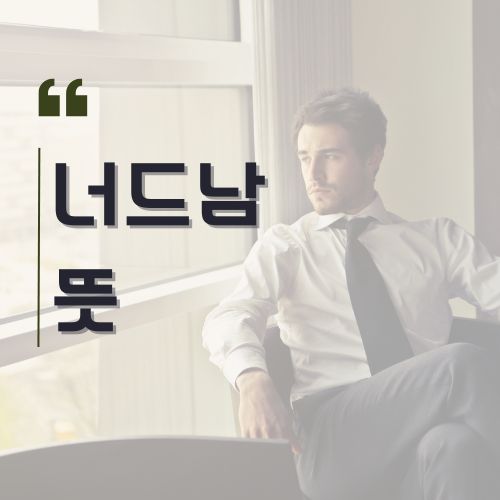 너드남 뜻 너드와 긱의 차이