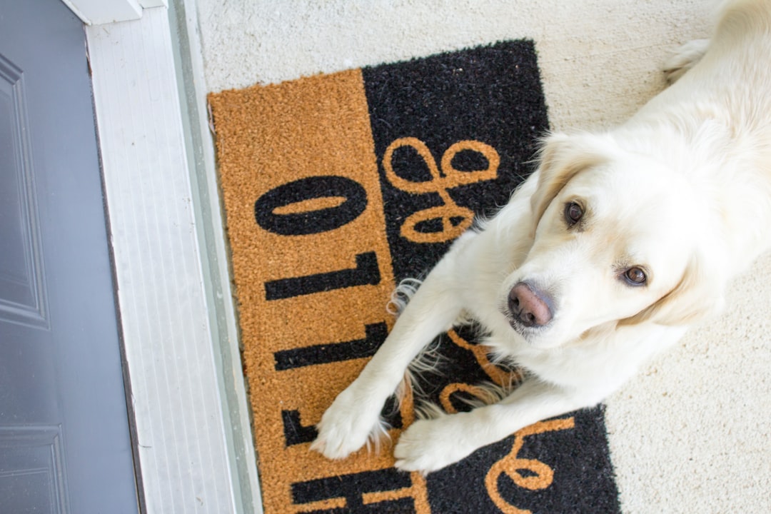 Pet door