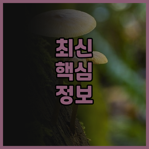 하노이 JW 메리어트 호텔 후기.. 