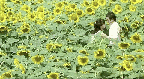 지금만나러갑니다