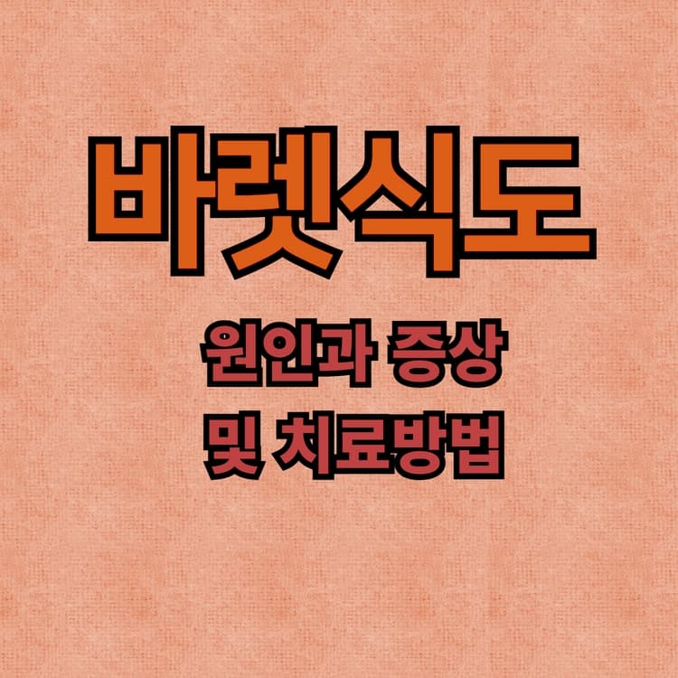 바렛식도_원인과_증상_이미지