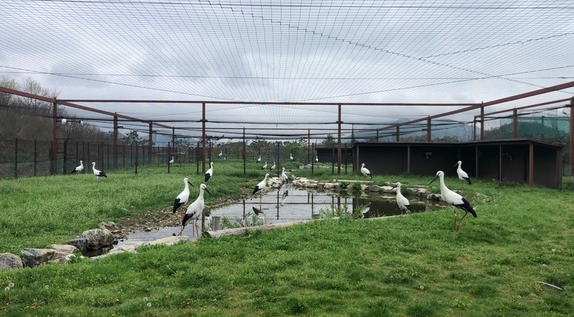 예산 가볼만한곳 베스트10