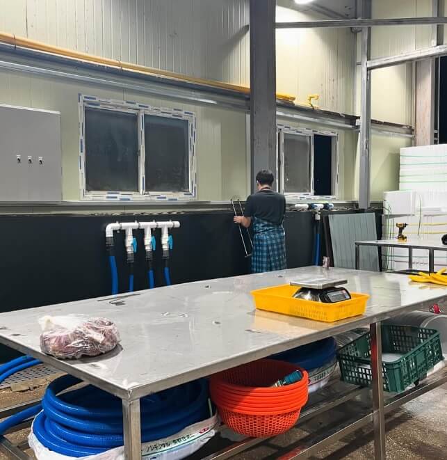 6시내고향 경남 통영의 수산물 전문점 통영자성수산 비단가리비 주문방법 