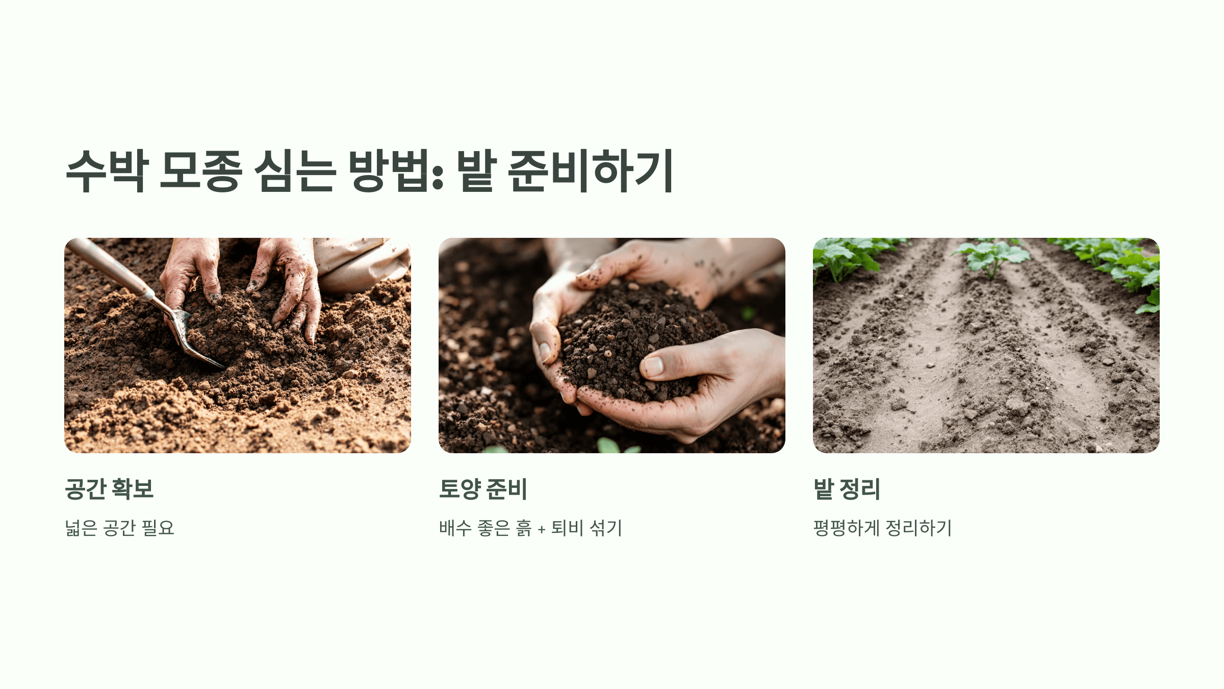 수박 사진입니다.