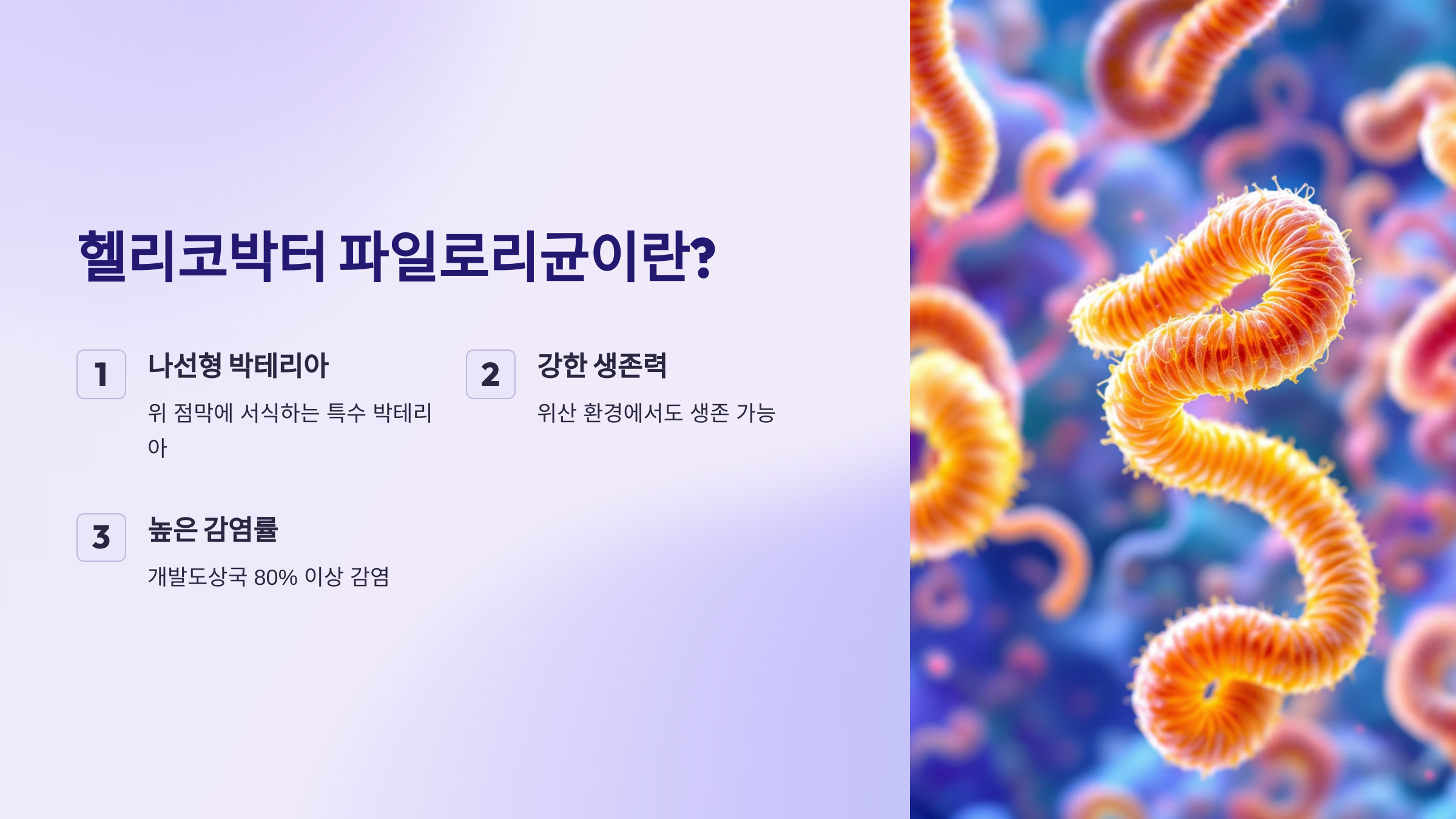 헬리코박터 파일로리균이란?