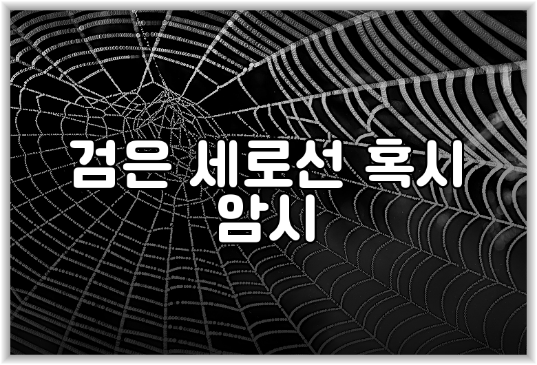 검은 세로선 혹시 암시