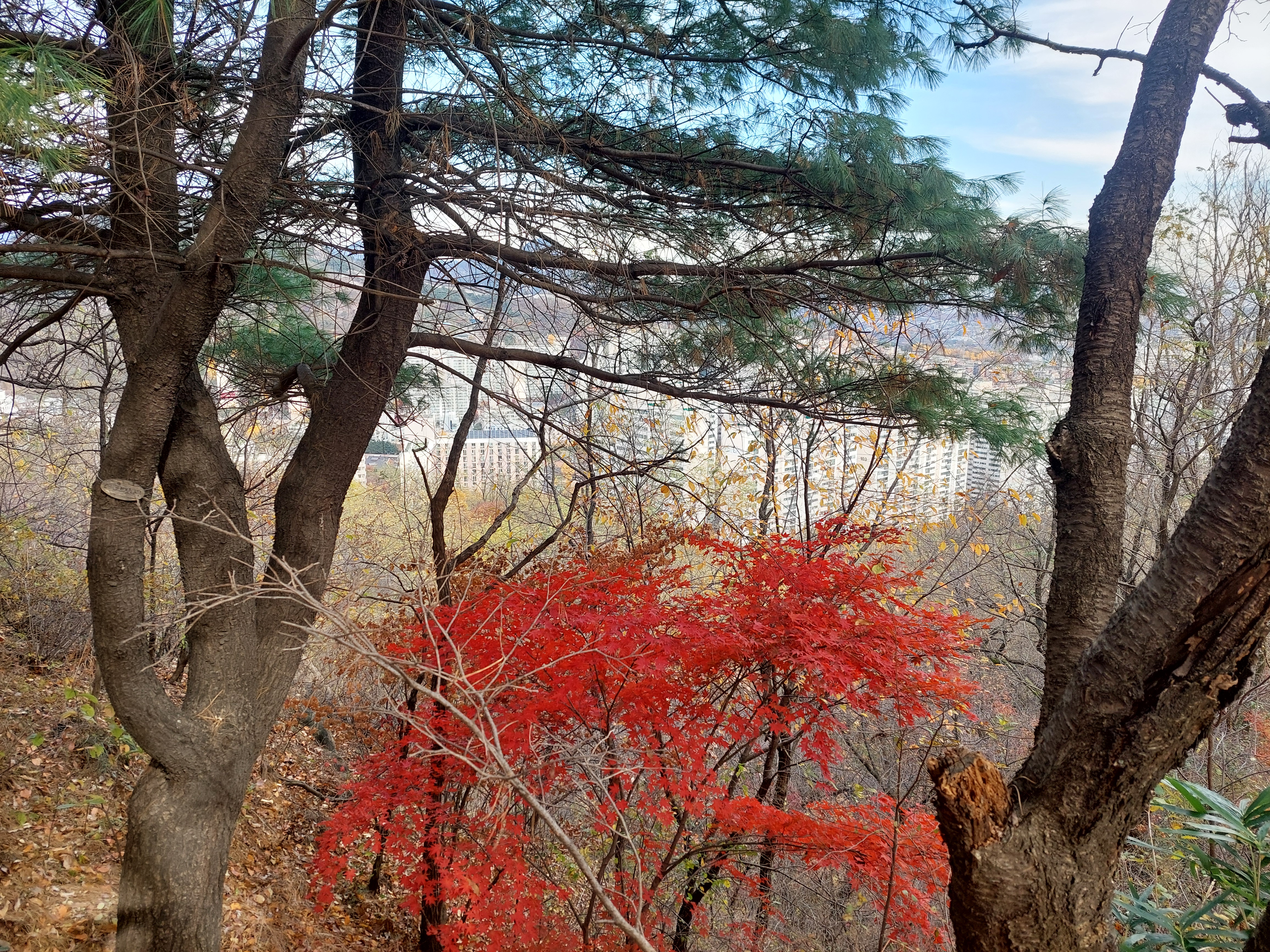 안산