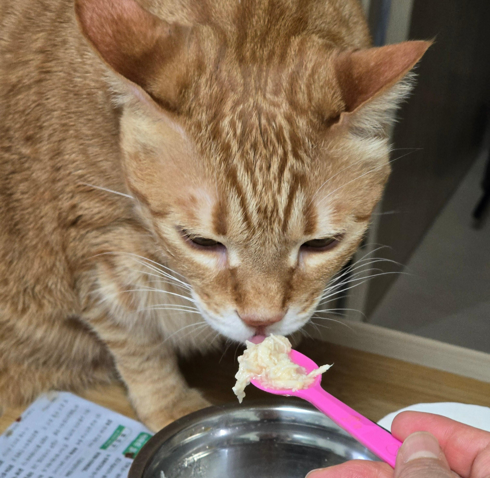 와구 핑크라벨 닭가슴살 캔5