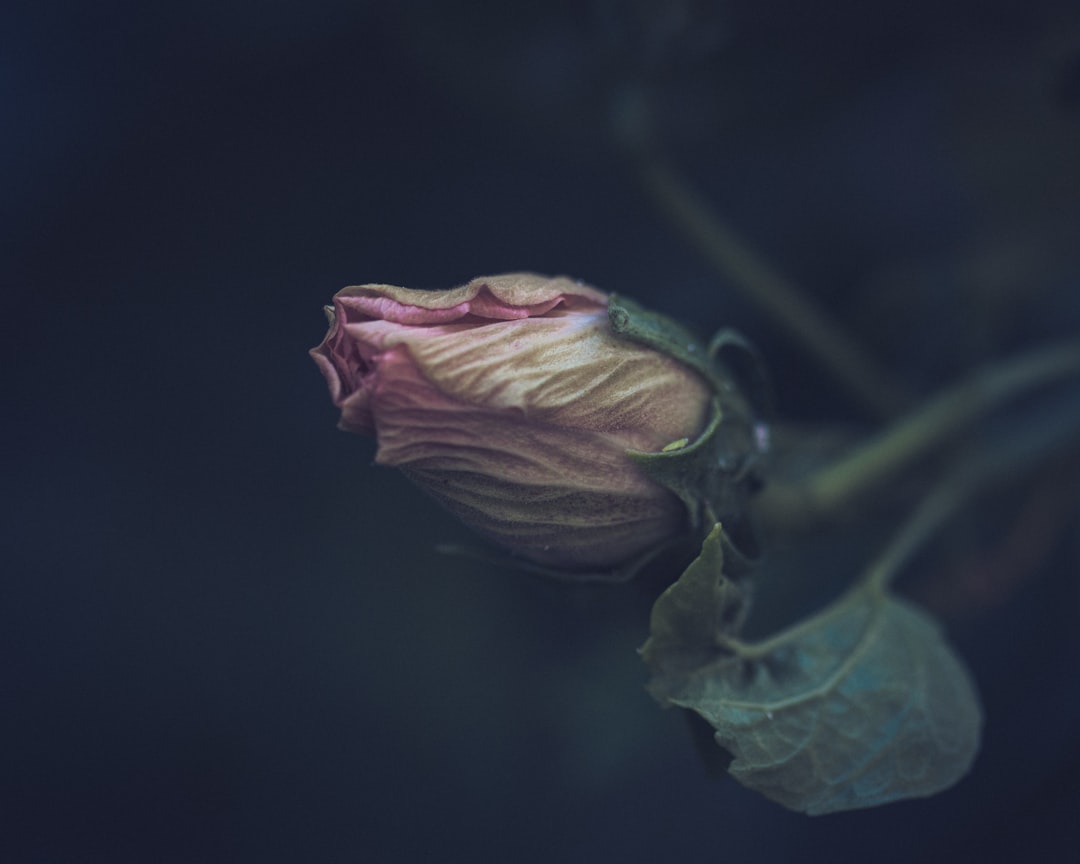 Reluctance