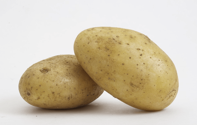 위에 좋은 음식