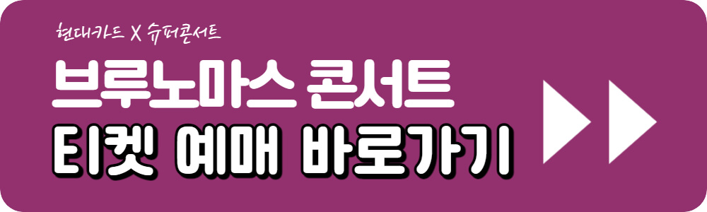 브루노 마스 콘서트