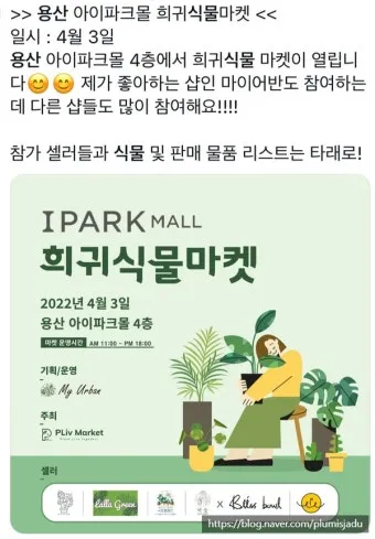 아이 있는 집 식물선택 가시없는종류 배치높이 관리 요령_4