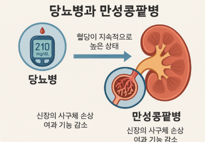당뇨병과 만성콩팥병의 밀접한 관계와 조기 관리 전략