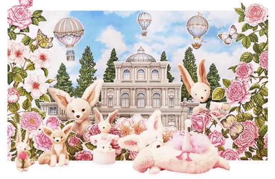 사막여우 도나 D